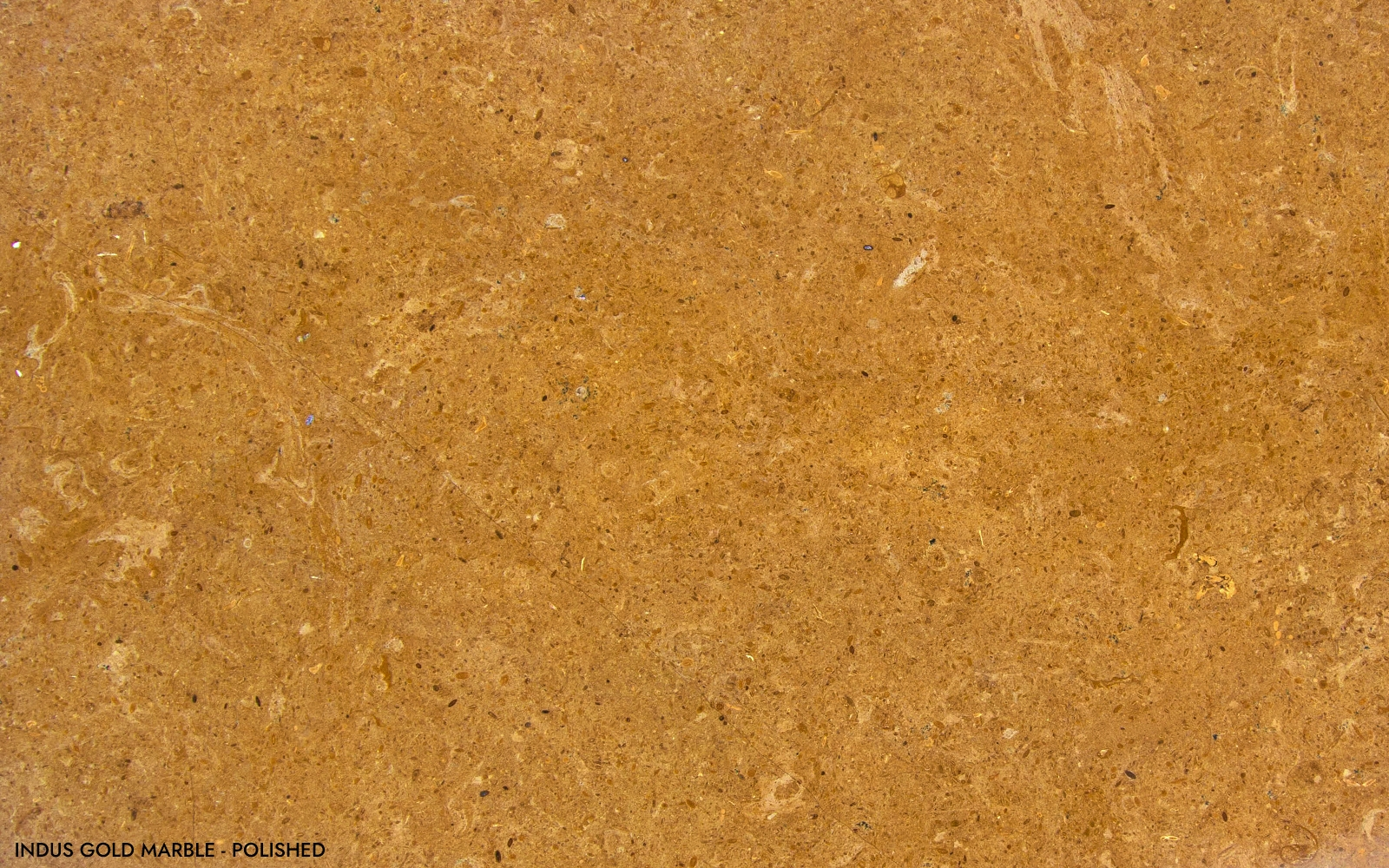 Indus Gold Marble
